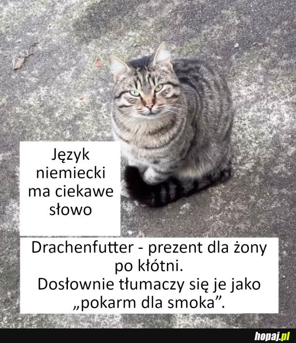 Interesujące słowo