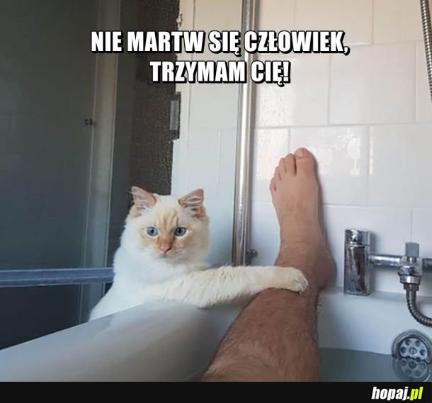 Prawdziwy bohater