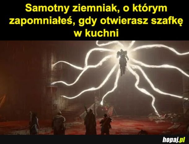 Samotny ziemniak