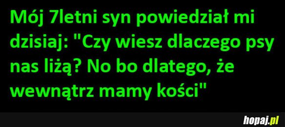 Heheszki