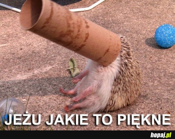 COŚ PIĘKNEGO