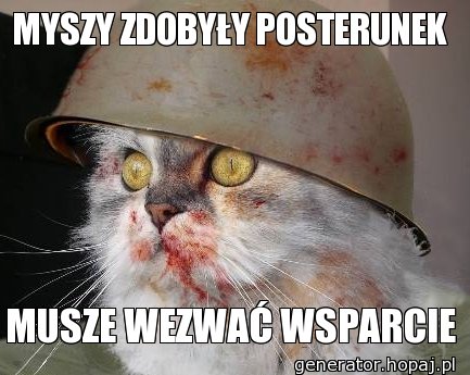 MYSZY ZDOBYŁY POSTERUNEK