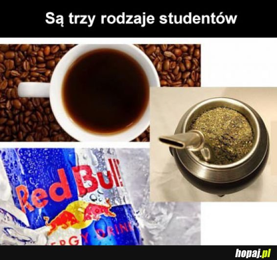 3 typy studentów