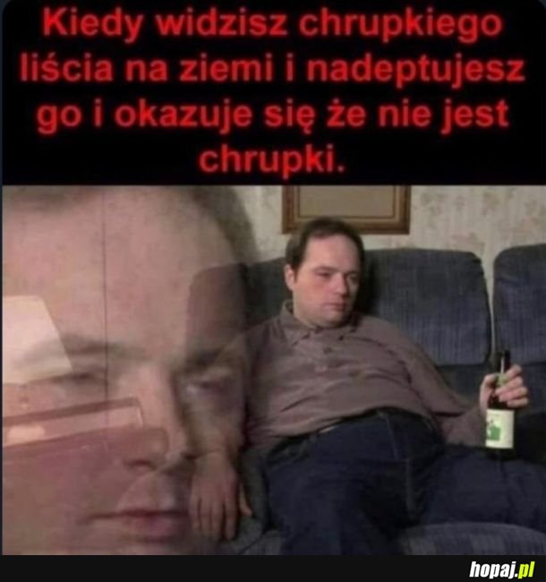 Liść