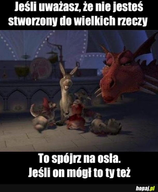 Jeśli uwierzysz możesz wszystko