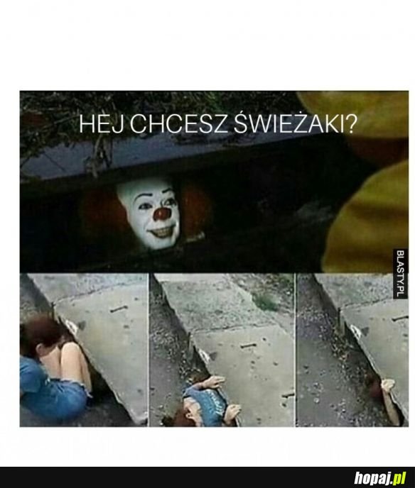 ŚWIEŻAKI
