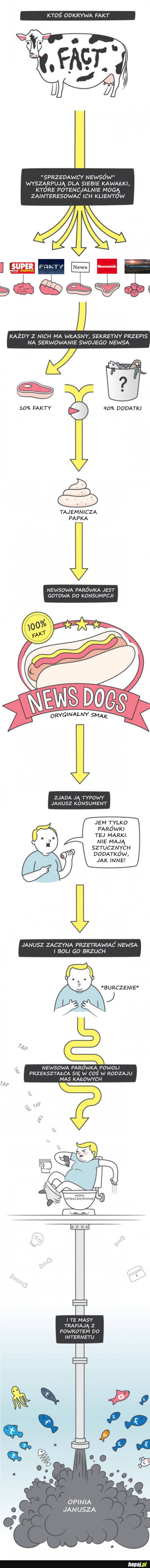 HISTORIA POWSTAWANIA NEWSÓW