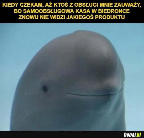 No to se poczekam