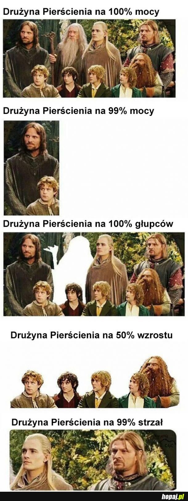 Drużyna Pierścienia