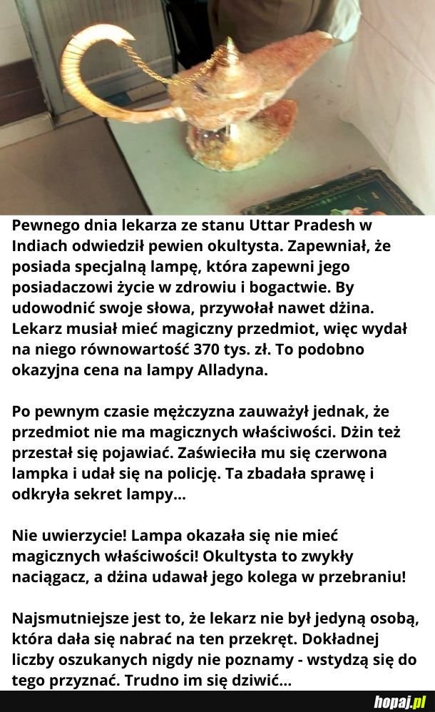 Dlatego ja inwestuję w magiczną fasolę - w tym biznesie nie ma oszustów