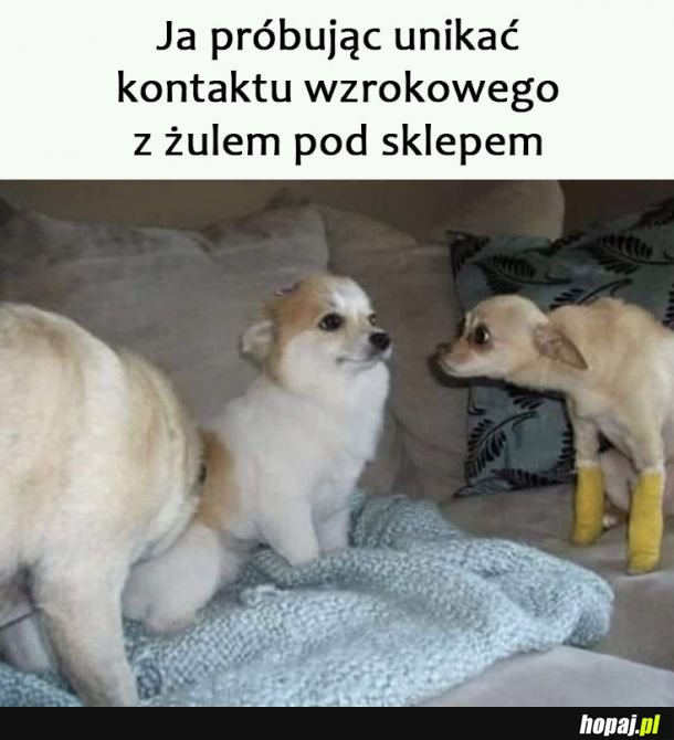 Tylko nie patrz na mnie