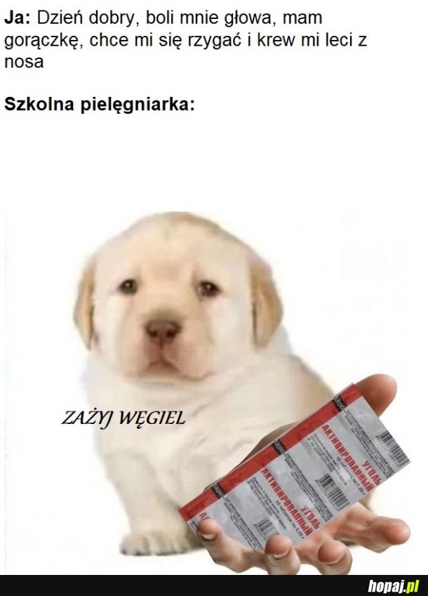 Remedium na wszystko, do czasu aż cię rodzice odbiorą