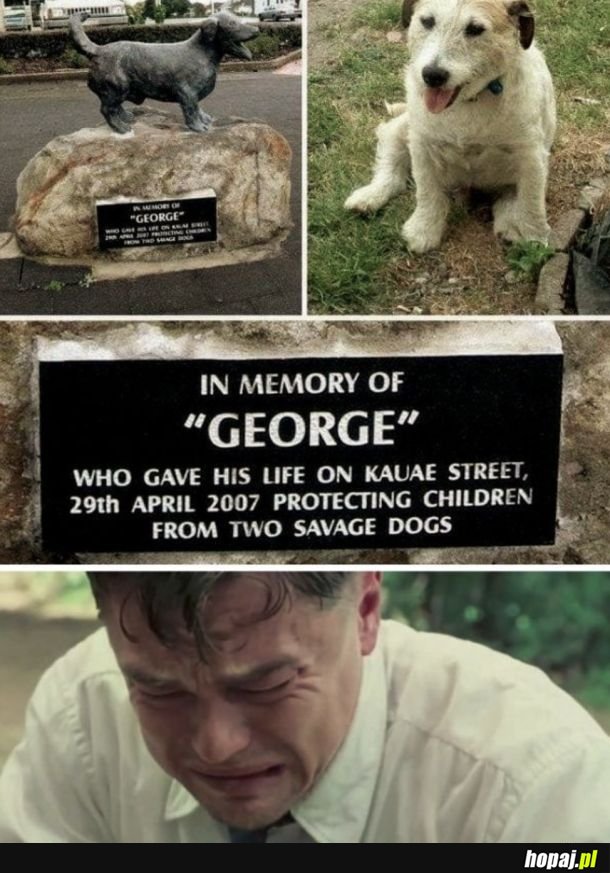 Poświęcił swoje życie