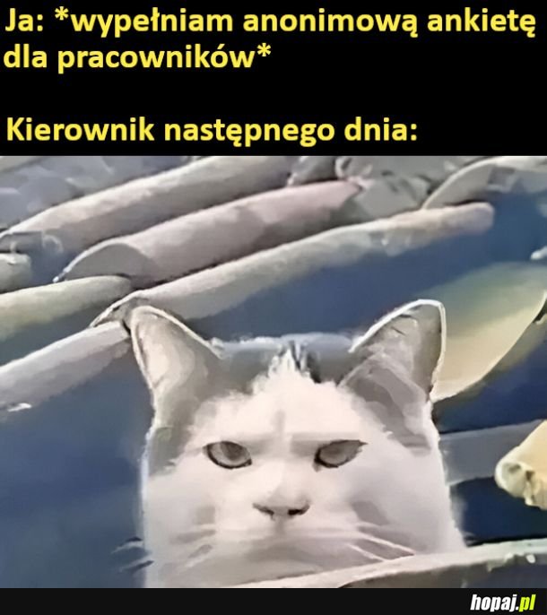 &quot;anonimowa&quot; ankieta