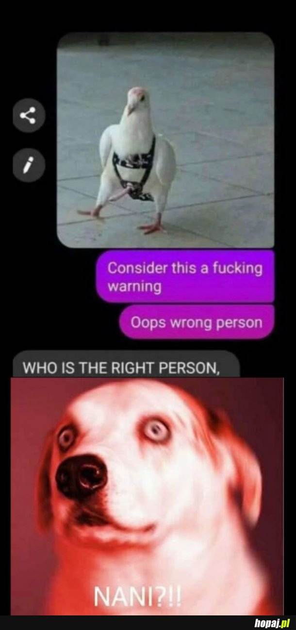 Dlaczego?