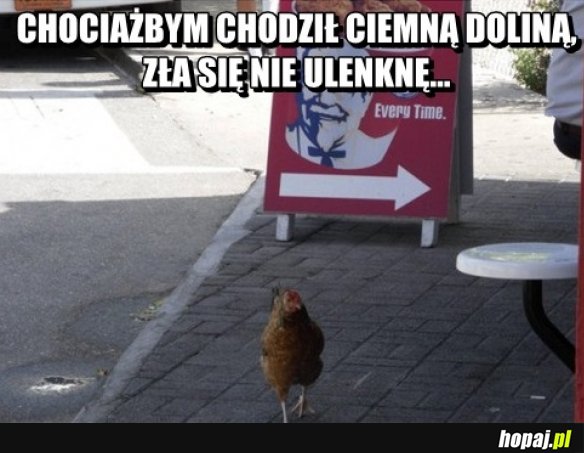 Zła się nie ulęknę