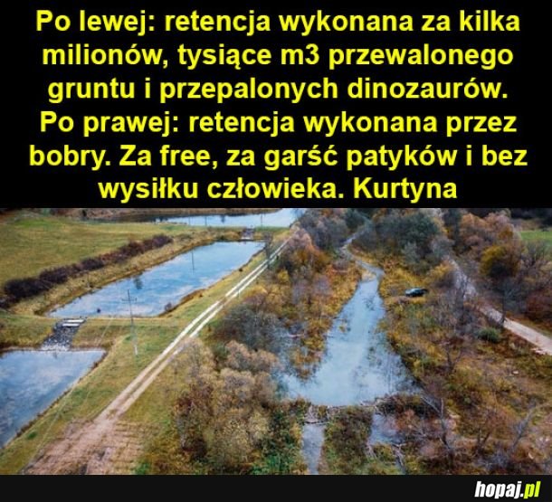 Widać kto się bardziej postarał