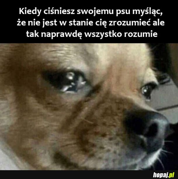  Najgorzej 