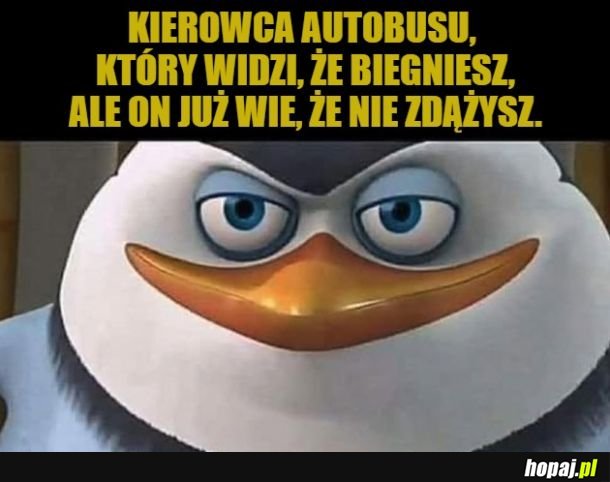 Uprzejmość mocno