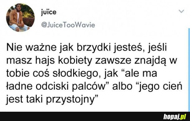 Hajs przyciąga