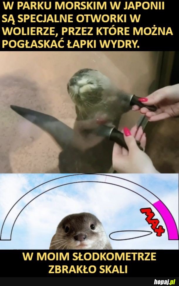 Chcę tam!