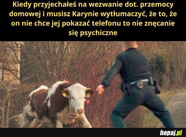 Spokojnie, Karynka. Spokojnie.