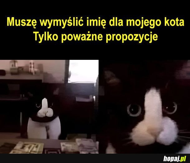 Jakieś poważne dostojne imię