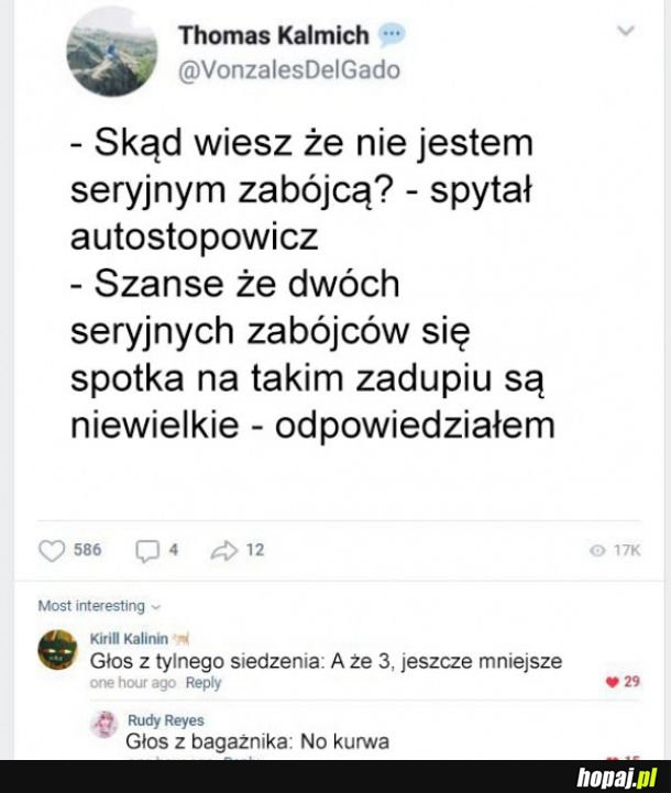 Seryjny morderca