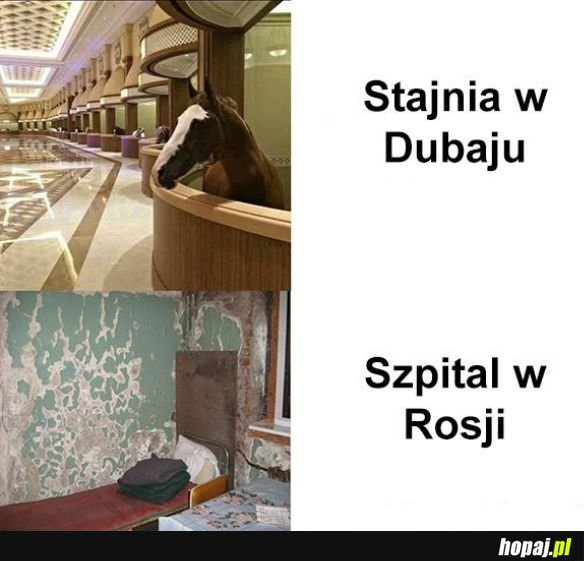 Taka różnica