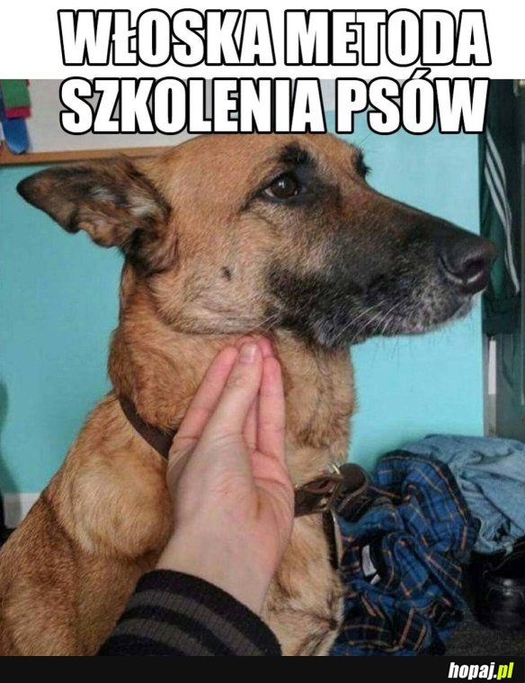 POPULARNA W CAŁEJ EUROPIE