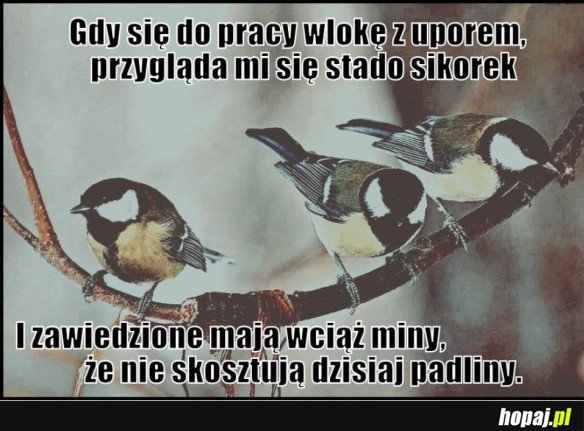 GDY WLOKĘ SIĘ DO PRACY