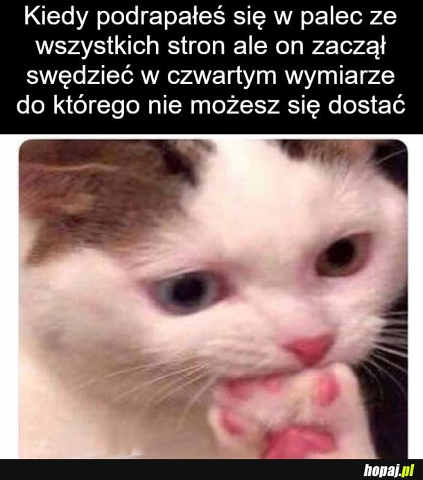 Przechodzenie w gęstość