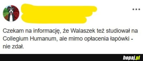 Walaszek.