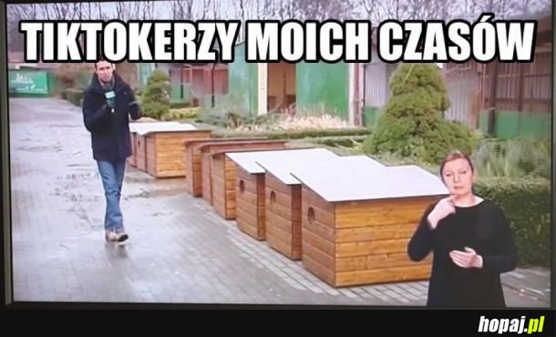 Tiktokerzy