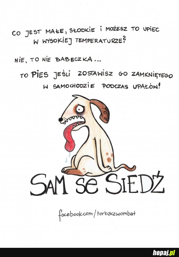 Pies w samochodzie