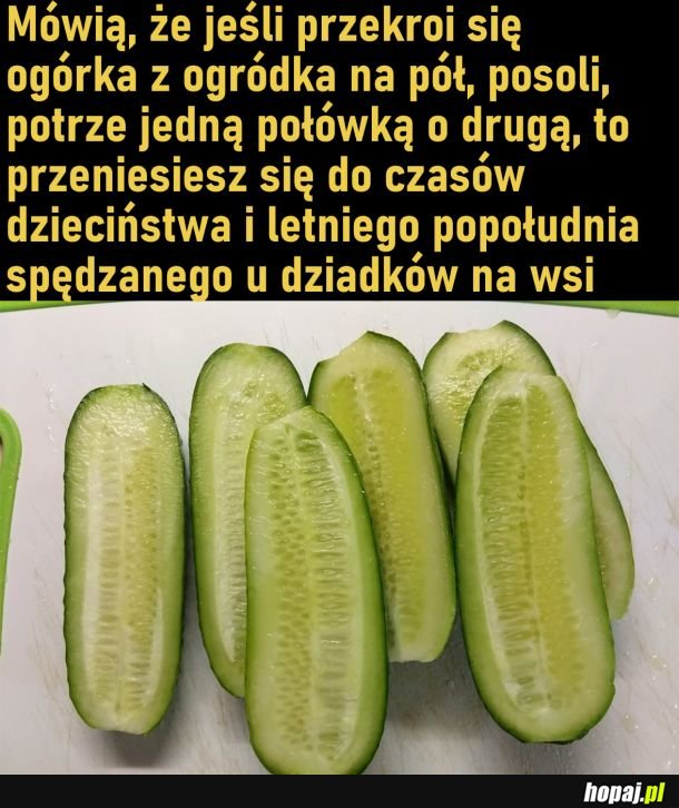 Solone ogórki prosto z warzywnego ogródka