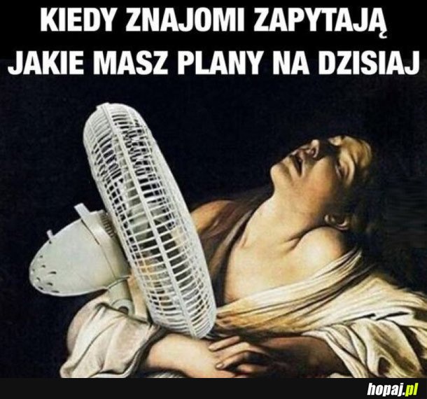 PLAN NA DZISIAJ