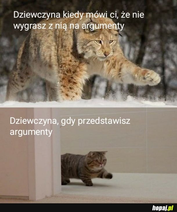 A i tak Twoja wina xD