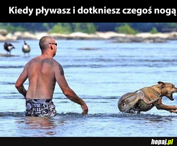 O nie!!