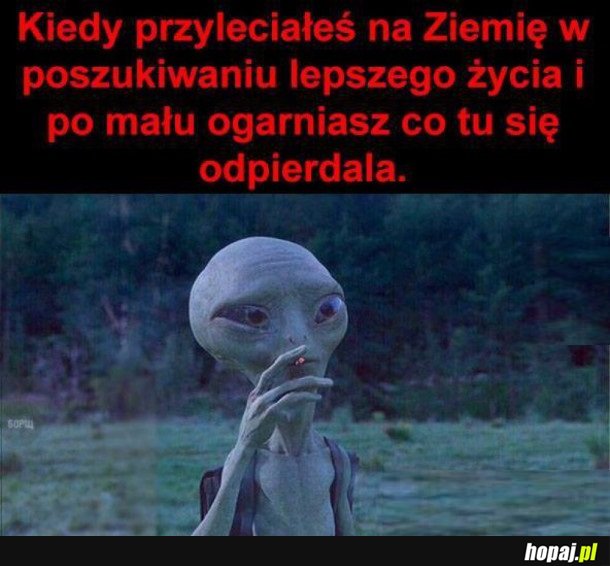 AH TA ZIEMIA