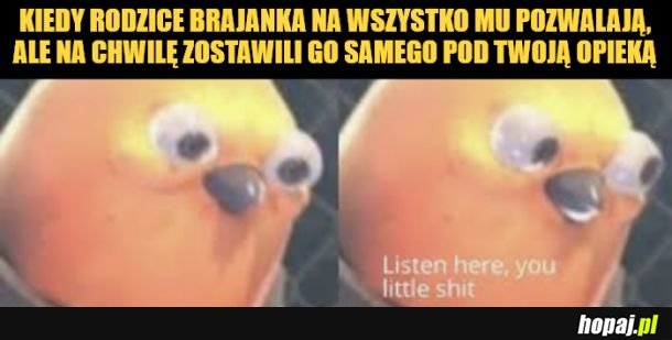 Brajanek. 
