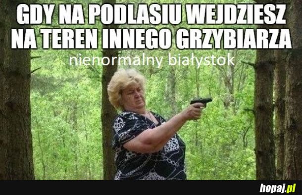 Podlaskie grzyby to nie przelewki