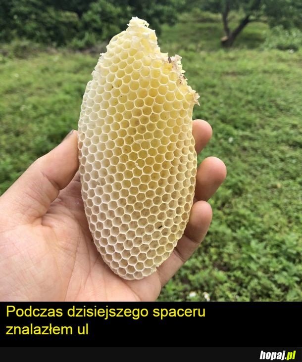 Ciekawe znalezisko