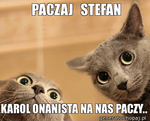   PACZAJ   STEFAN