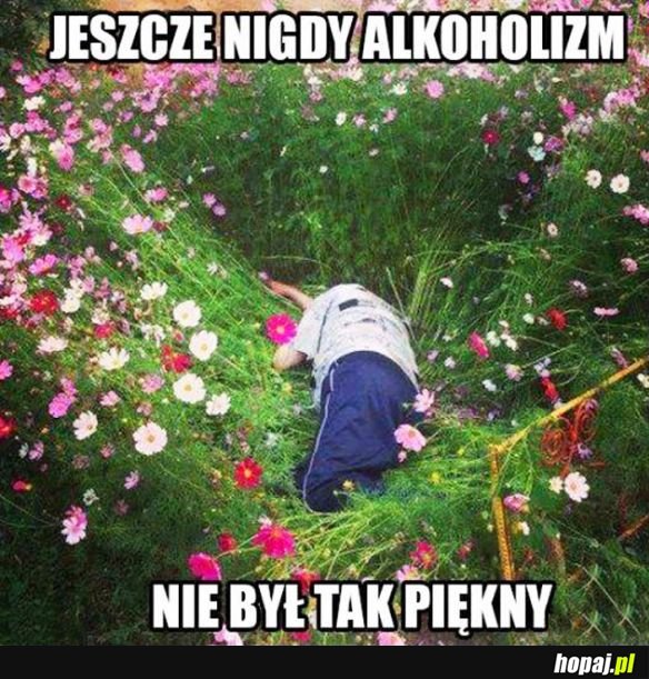 Pięknie