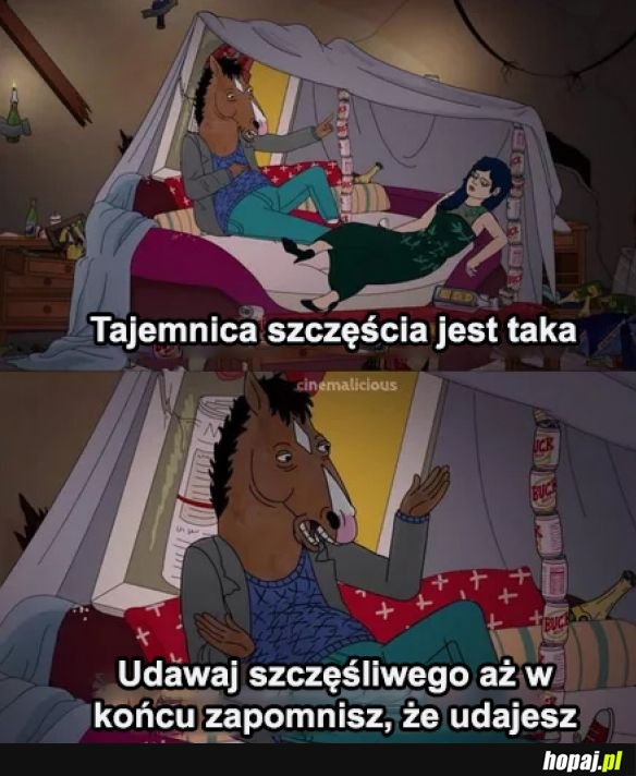 BoJack mówi jak jest