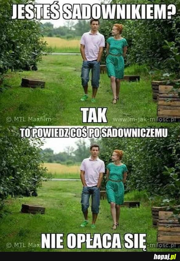 Powiedz coś