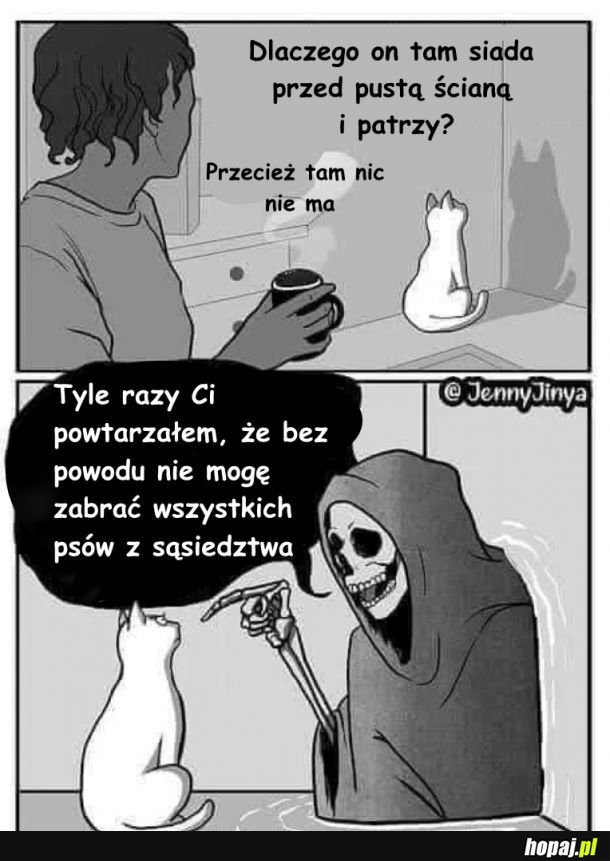 Duch