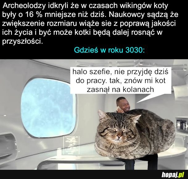 Przyszłość kociej rasy