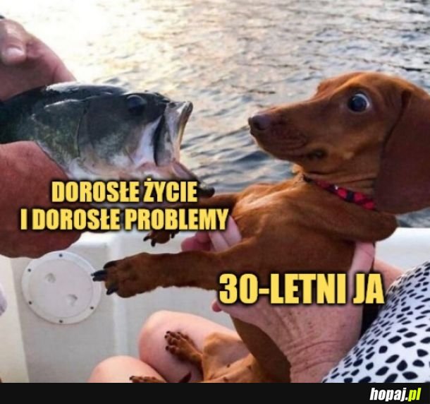 Dorosłość. 